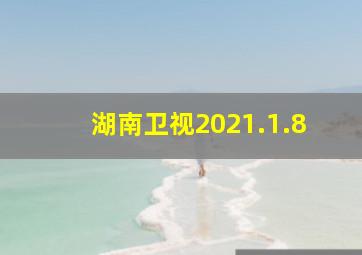 湖南卫视2021.1.8