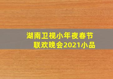 湖南卫视小年夜春节联欢晚会2021小品