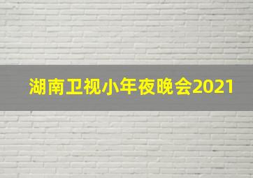 湖南卫视小年夜晚会2021