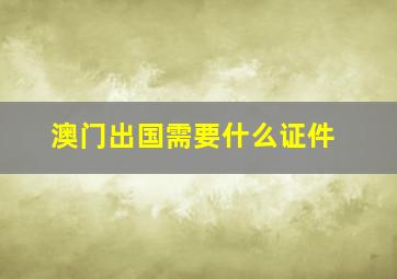 澳门出国需要什么证件