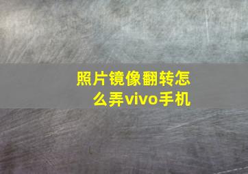 照片镜像翻转怎么弄vivo手机