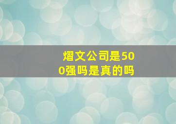 熠文公司是500强吗是真的吗