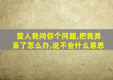 爱人我问你个问题,把我弄丢了怎么办,说不会什么意思