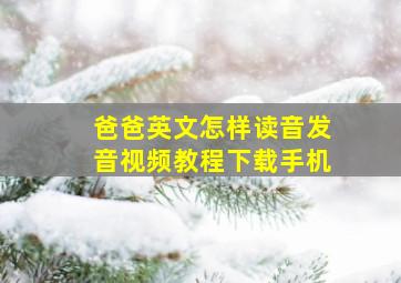 爸爸英文怎样读音发音视频教程下载手机