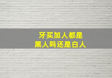 牙买加人都是黑人吗还是白人