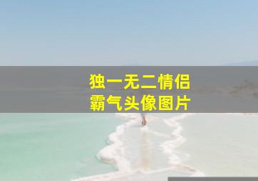 独一无二情侣霸气头像图片