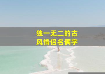 独一无二的古风情侣名俩字