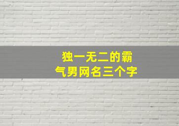 独一无二的霸气男网名三个字