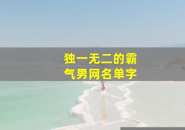 独一无二的霸气男网名单字