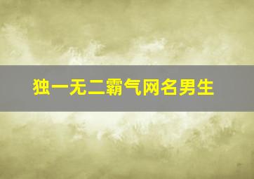 独一无二霸气网名男生