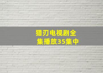 猎刃电视剧全集播放35集中