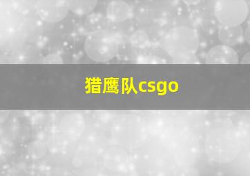 猎鹰队csgo