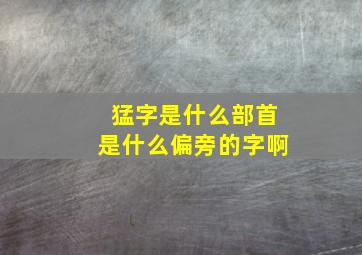 猛字是什么部首是什么偏旁的字啊