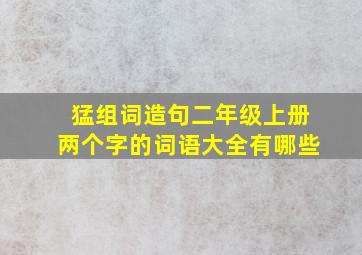 猛组词造句二年级上册两个字的词语大全有哪些