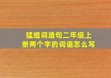 猛组词造句二年级上册两个字的词语怎么写