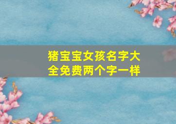 猪宝宝女孩名字大全免费两个字一样