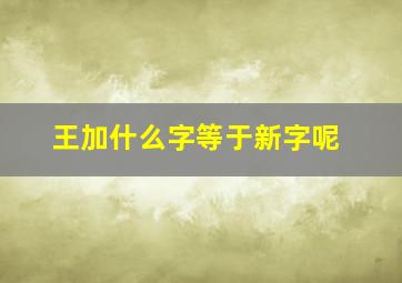 王加什么字等于新字呢