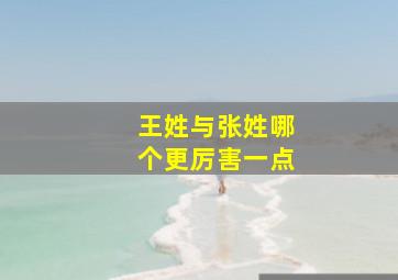 王姓与张姓哪个更厉害一点