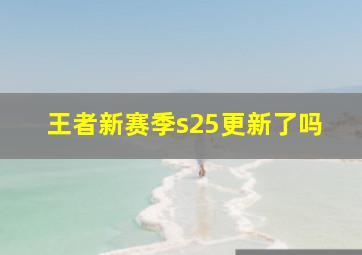 王者新赛季s25更新了吗