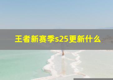 王者新赛季s25更新什么