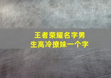 王者荣耀名字男生高冷撩妹一个字