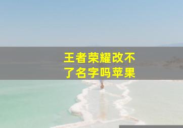 王者荣耀改不了名字吗苹果