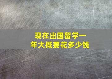 现在出国留学一年大概要花多少钱