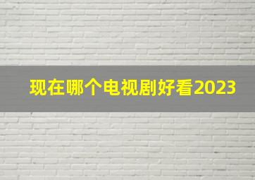 现在哪个电视剧好看2023