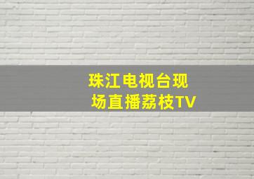 珠江电视台现场直播荔枝TV