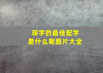 琛字的最佳配字是什么呢图片大全