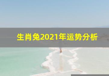 生肖兔2021年运势分析