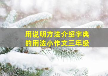 用说明方法介绍字典的用法小作文三年级