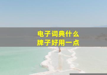 电子词典什么牌子好用一点