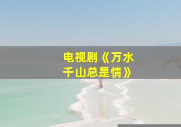 电视剧《万水千山总是情》