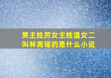 男主姓厉女主姓温女二叫林青瑶的是什么小说