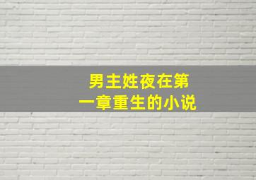 男主姓夜在第一章重生的小说