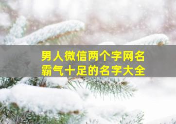 男人微信两个字网名霸气十足的名字大全