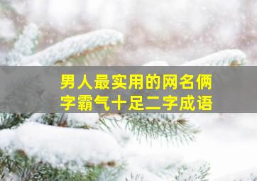 男人最实用的网名俩字霸气十足二字成语