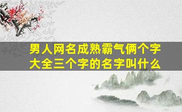 男人网名成熟霸气俩个字大全三个字的名字叫什么