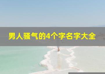 男人骚气的4个字名字大全