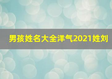 男孩姓名大全洋气2021姓刘