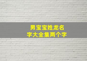 男宝宝姓龙名字大全集两个字