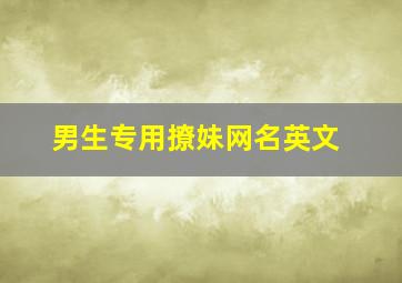 男生专用撩妹网名英文