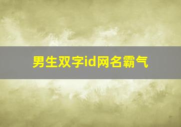 男生双字id网名霸气