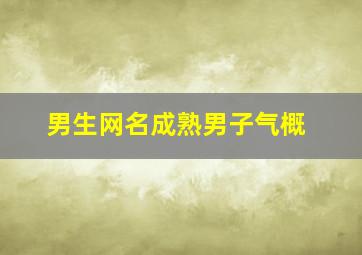 男生网名成熟男子气概