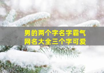 男的两个字名字霸气网名大全三个字可爱