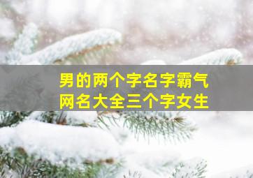 男的两个字名字霸气网名大全三个字女生