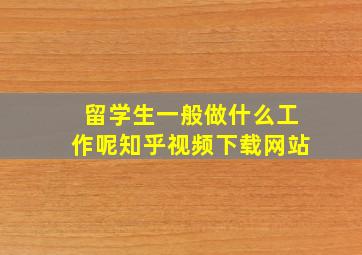 留学生一般做什么工作呢知乎视频下载网站