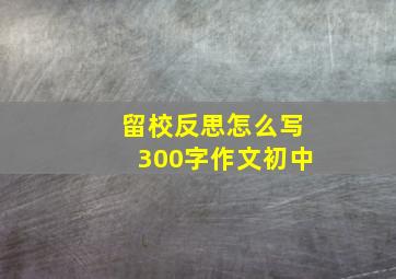 留校反思怎么写300字作文初中