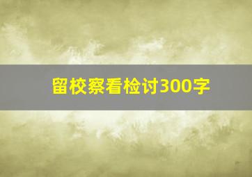 留校察看检讨300字